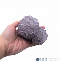 圖示-紫水晶花(Amethyst Cluster)