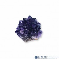 圖示-紫水晶花(Amethyst Cluster)