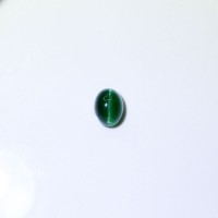 圖示-綠色磷灰石貓眼(Apatite Cat's Eye)