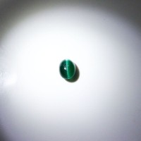 圖示-綠色磷灰石貓眼(Apatite Cat's Eye)