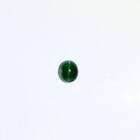 圖示-綠色磷灰石貓眼(Apatite Cat's Eye)