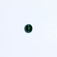 圖示-綠色磷灰石貓眼(Apatite Cat's Eye)