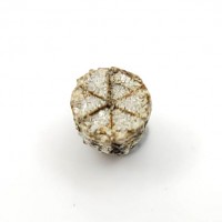 圖示-櫻花石晶體(Cerasite)