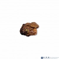 圖示-自然金(Native Gold)