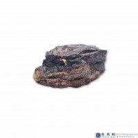 圖示-自然金(Native Gold)