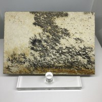 圖示-氧化錳樹枝石(Manganese Dendrites)