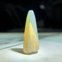 圖示-蛋白石置換箭石(Opal Fossil)