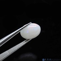 圖示-白蛋白石(Opal)