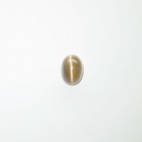 圖示-蛋白石貓眼(Cat's Eye Opal)