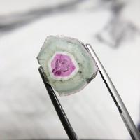 圖示-電氣石/碧璽切片(Tourmaline)