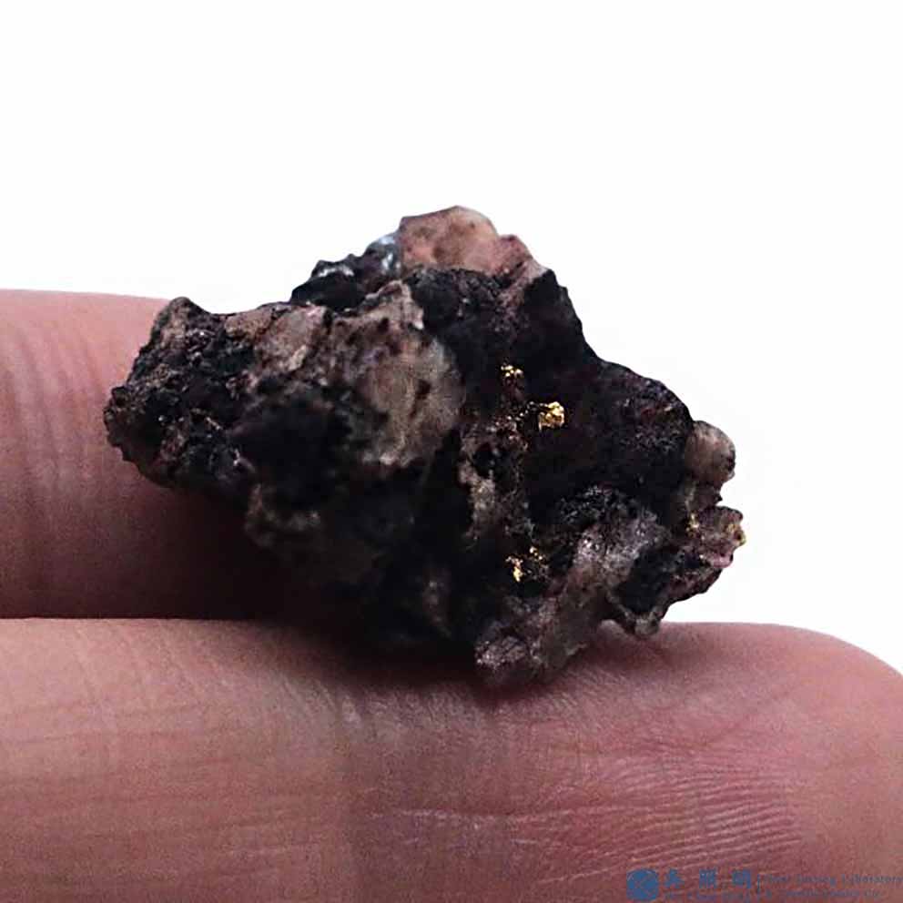圖示-自然金(Native Gold)