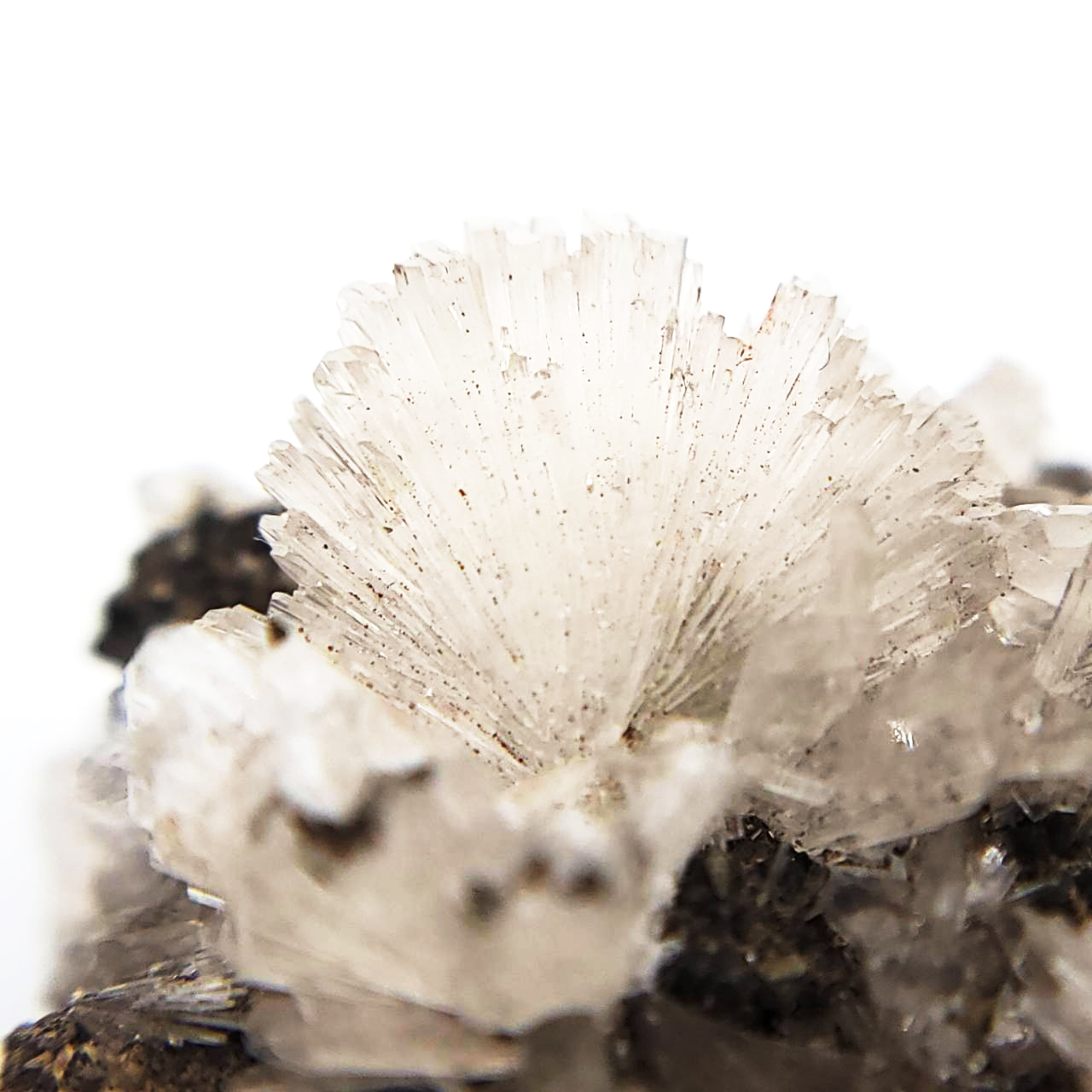 圖示-異極礦(Hemimorphite)