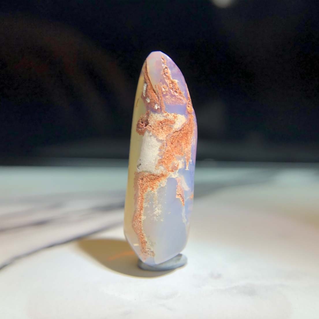 圖示-蛋白石置換箭石(Opal Fossil)