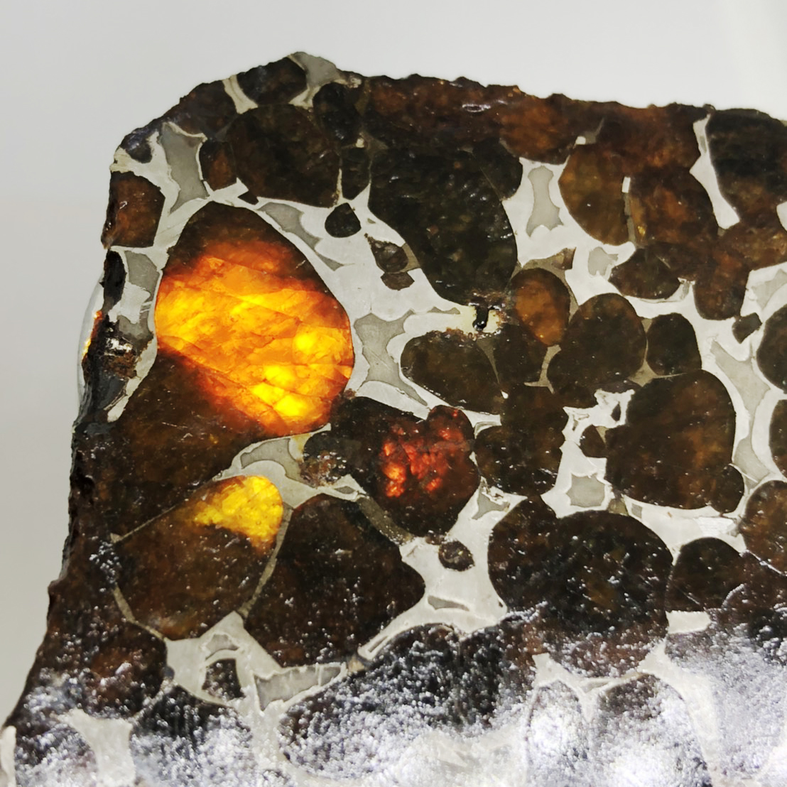 圖示-橄欖隕石(Palasite)