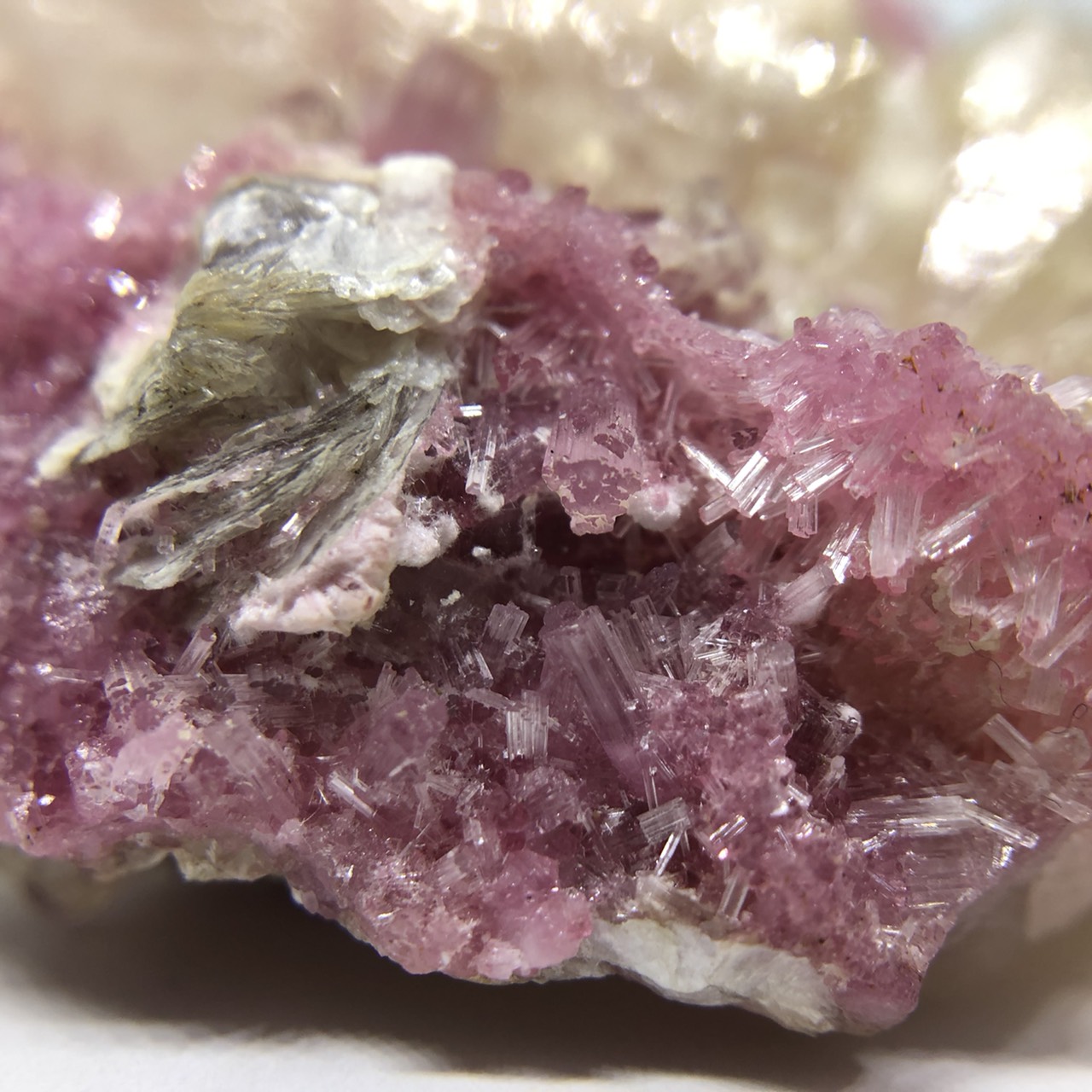 圖示-電氣石/碧璽晶體(Tourmaline)